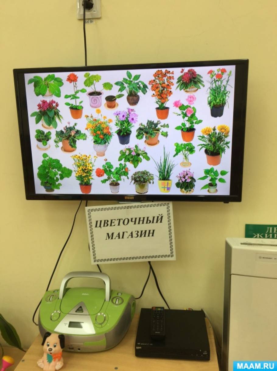 Проект в детском саду комнатные растения