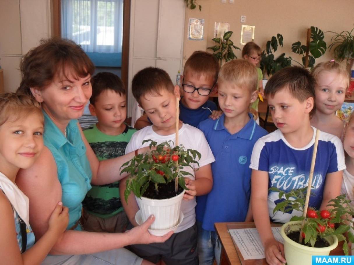 Надо сеять в ногу со временем!