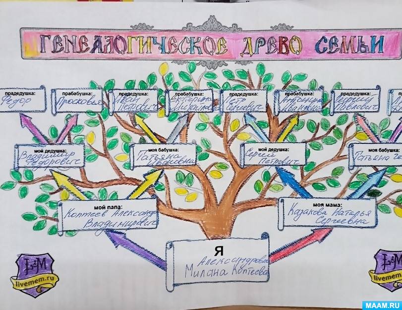 «Я и история семьи». Часть 2. Семейное древо