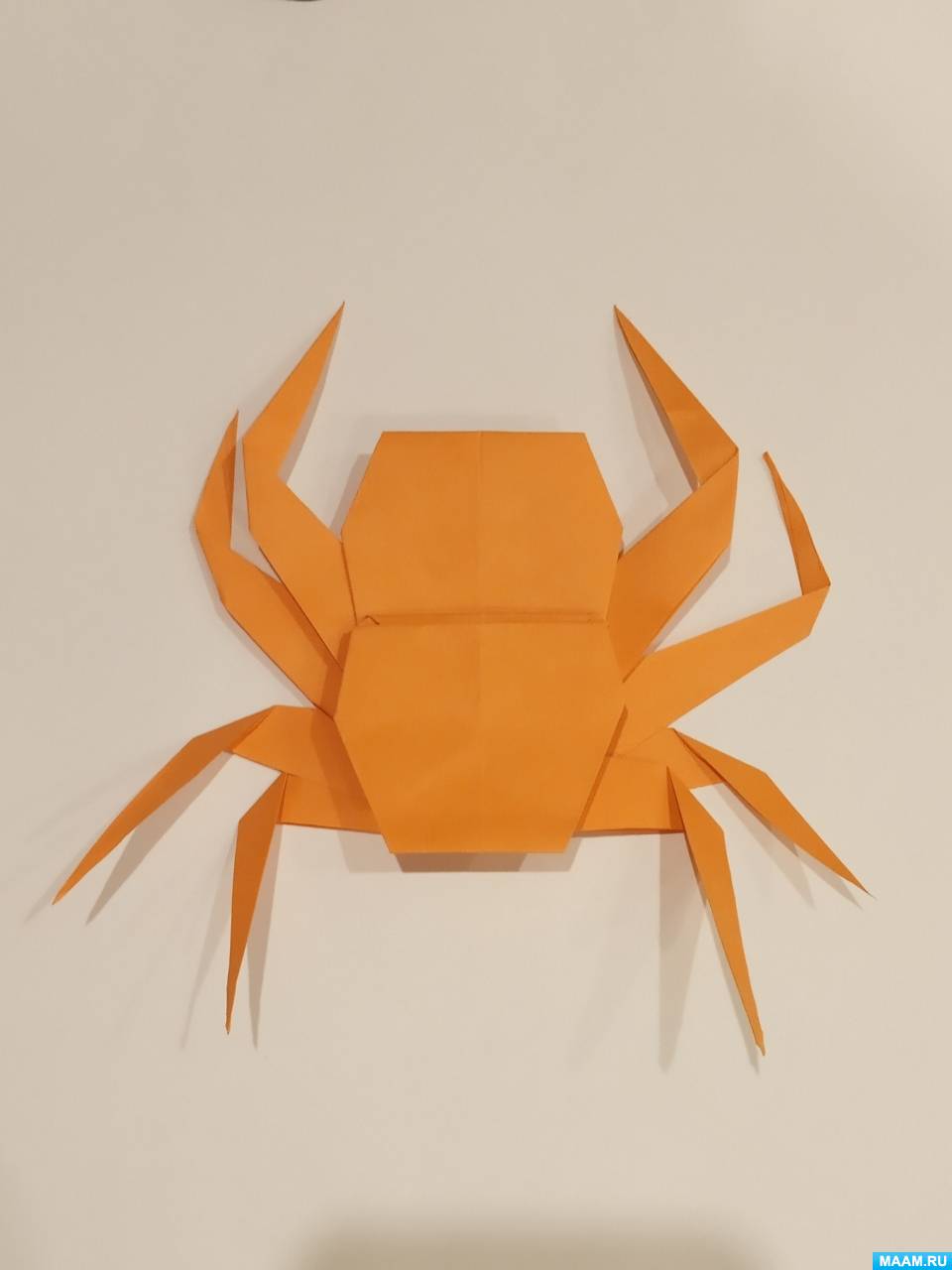 Детская поделка паук из природного материала | МОРЕ творческих идей для детей