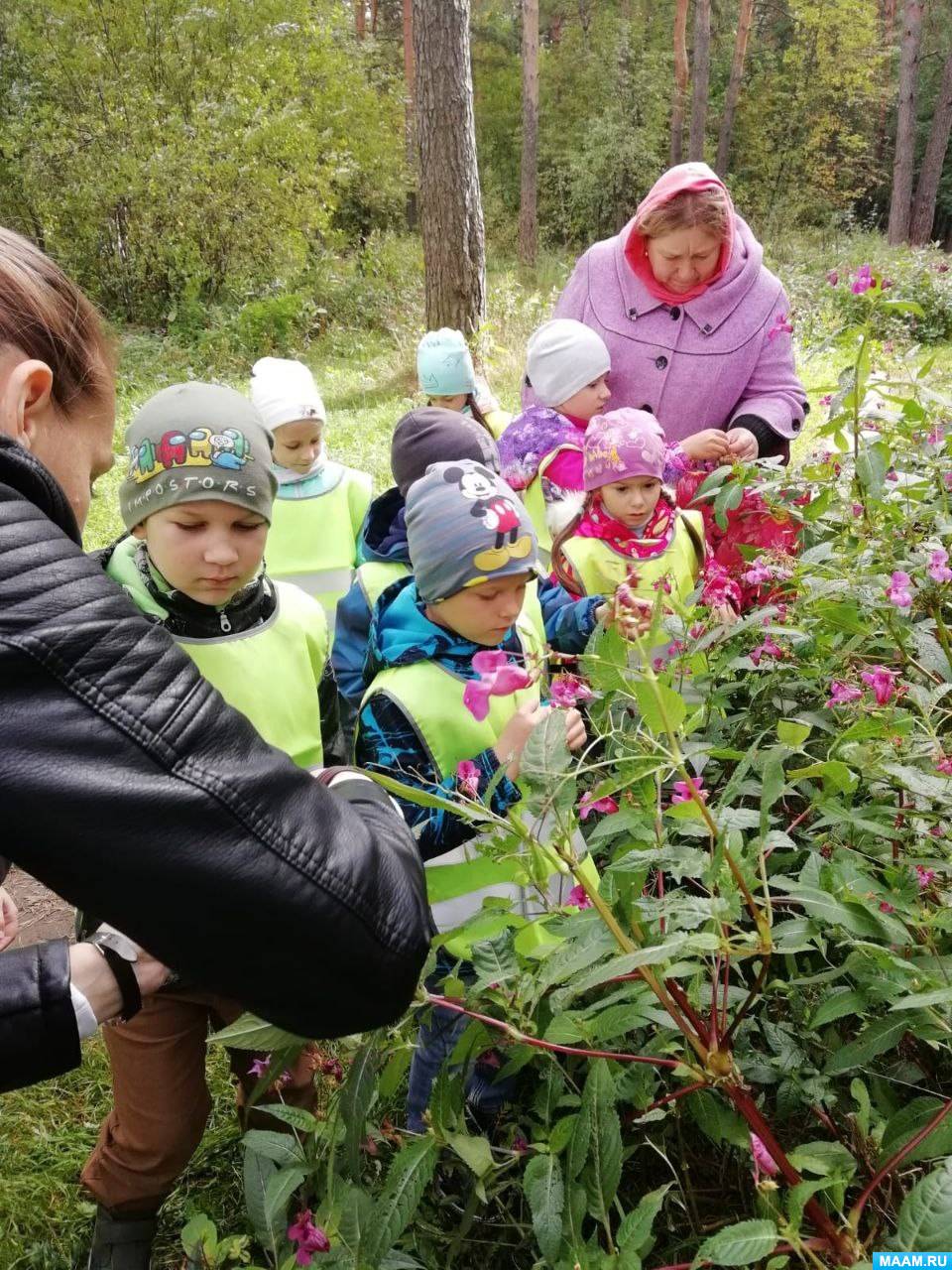 Консультация для родителей «Целевая прогулка в лес с детьми  подготовительной группы» (5 фото). Воспитателям детских садов, школьным  учителям и педагогам - Маам.ру