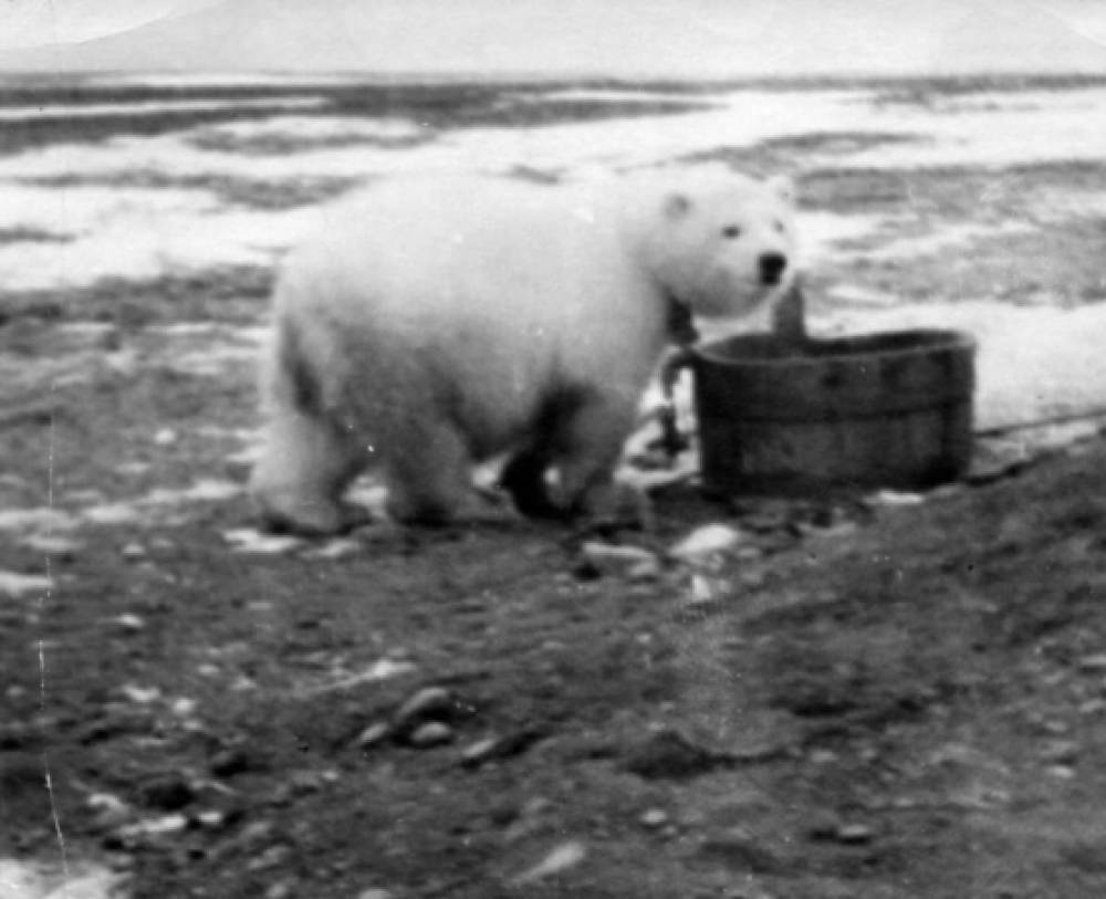 Экскурс в прошлое. Уникальные фотографии освоения Севера (24 фото).  Воспитателям детских садов, школьным учителям и педагогам - Маам.ру