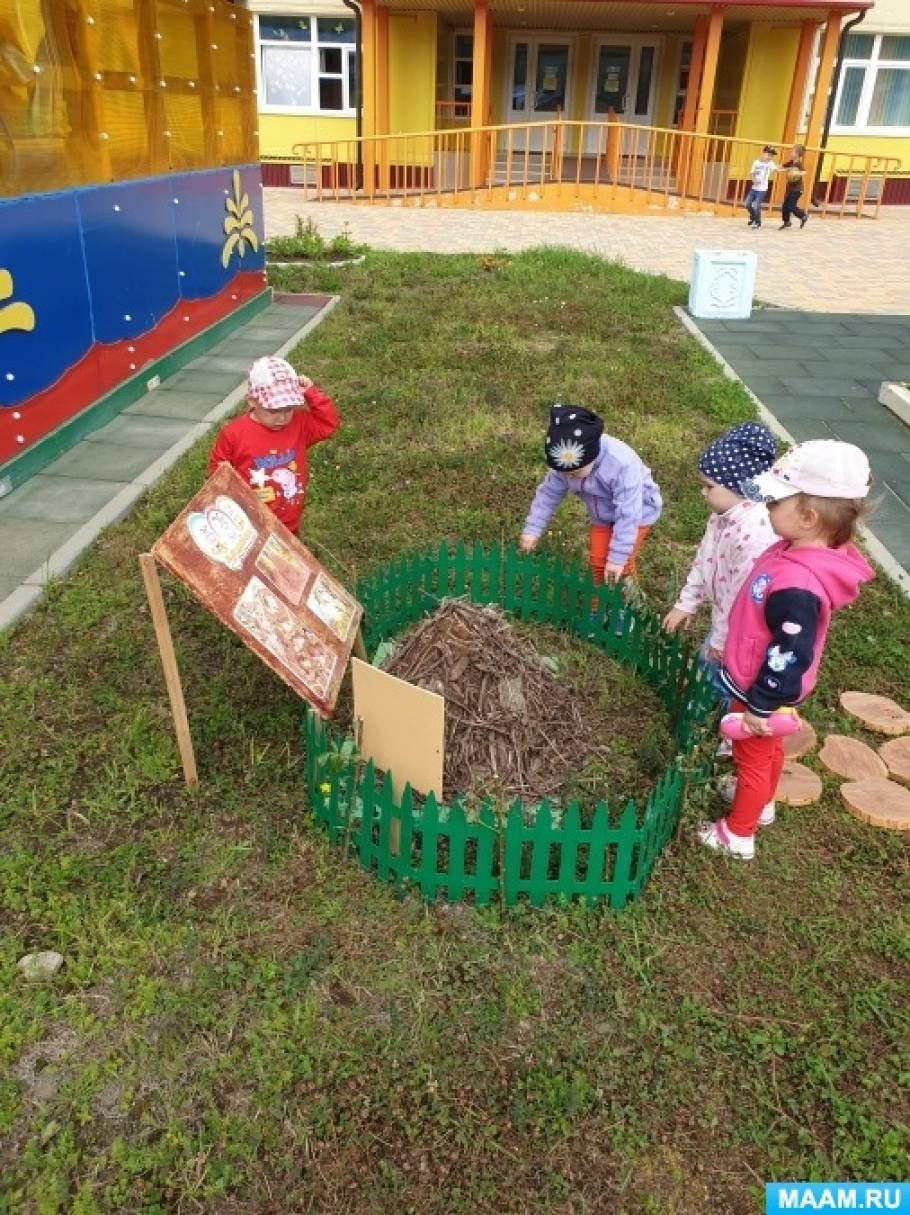 Экологическая тропа в детском саду на участке своими руками фото