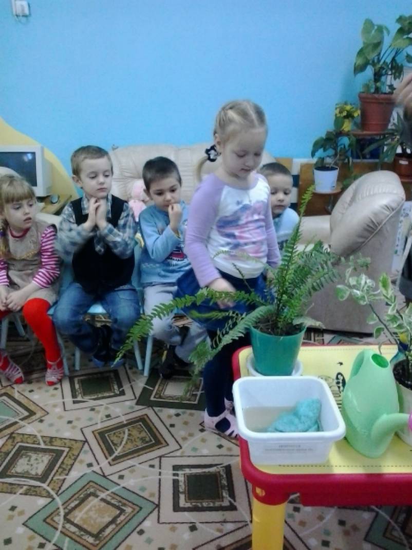 Проект в детском саду комнатные растения