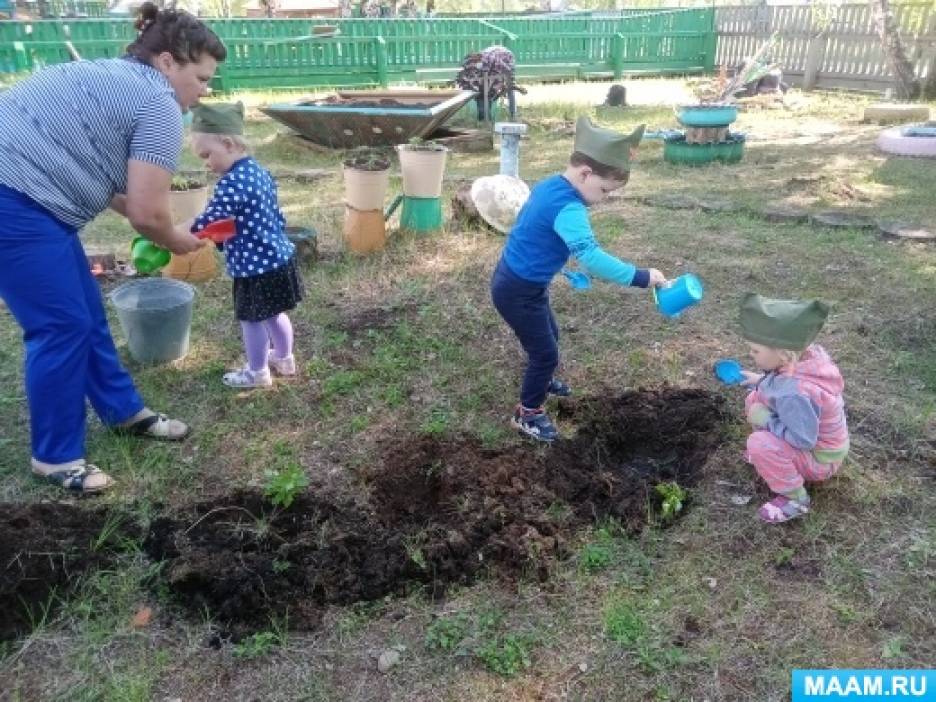 Проект сирень победы в детском саду