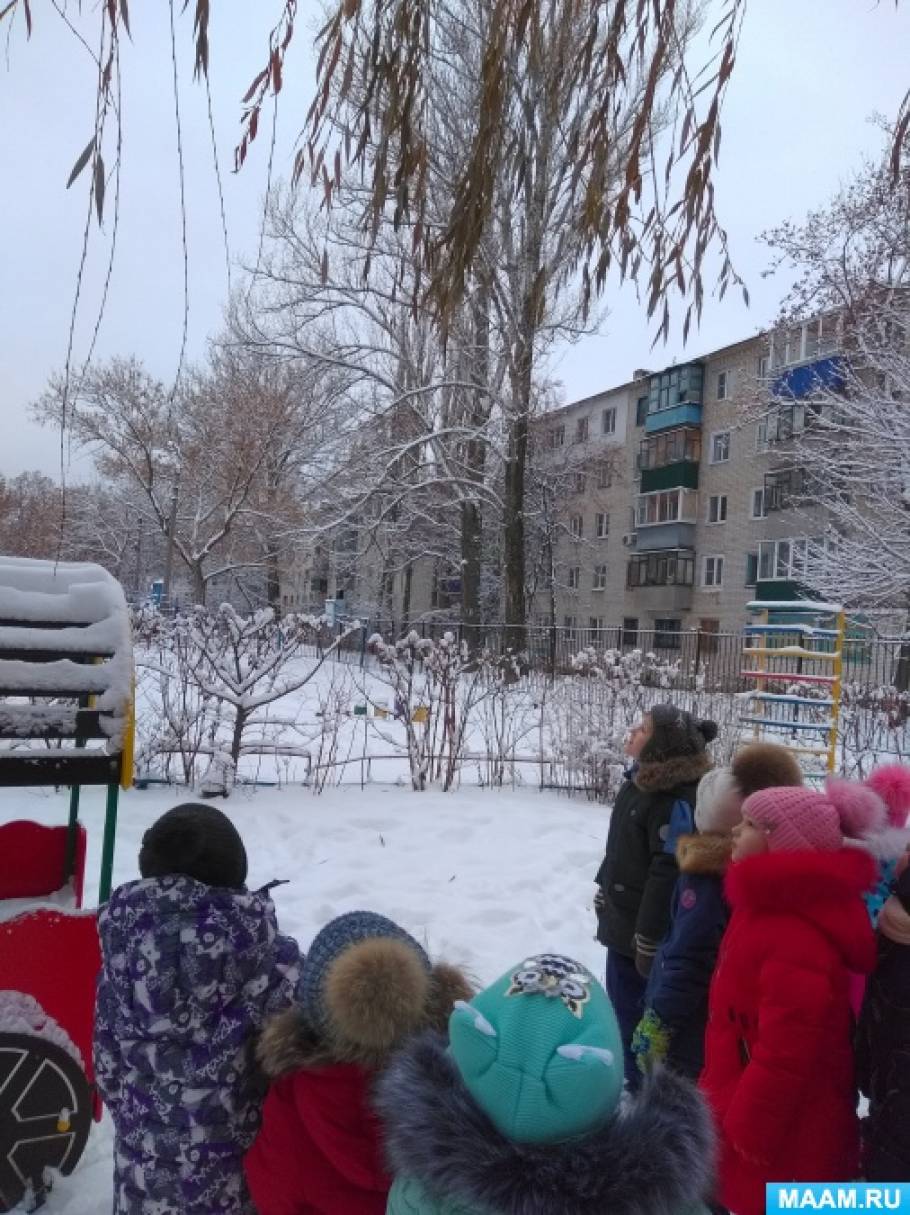 Конспект прогулки «Наблюдение за красотой зимнего пейзажа» (15 фото).  Воспитателям детских садов, школьным учителям и педагогам - Маам.ру