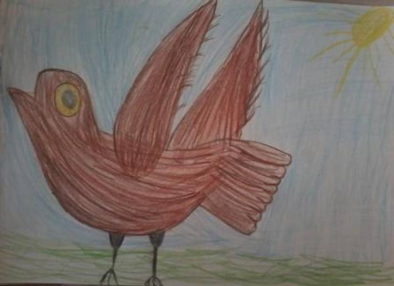 Рисунки птиц красивые