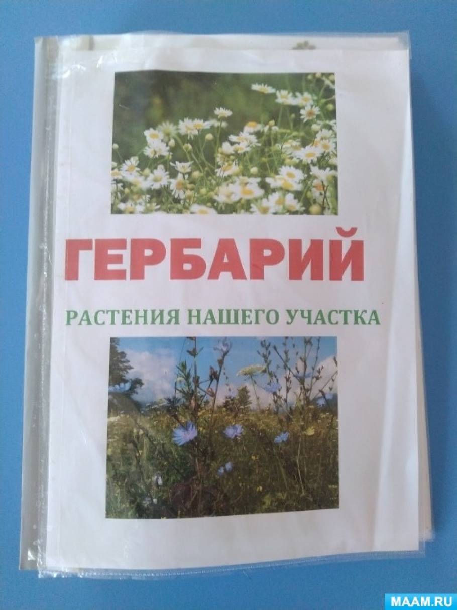 Гербарий из растений