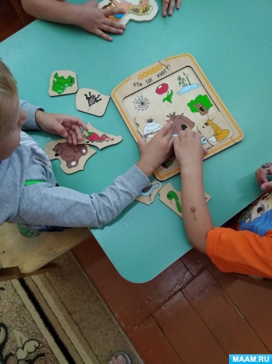 Публикация «Настольные игры в детском саду» размещена в разделах