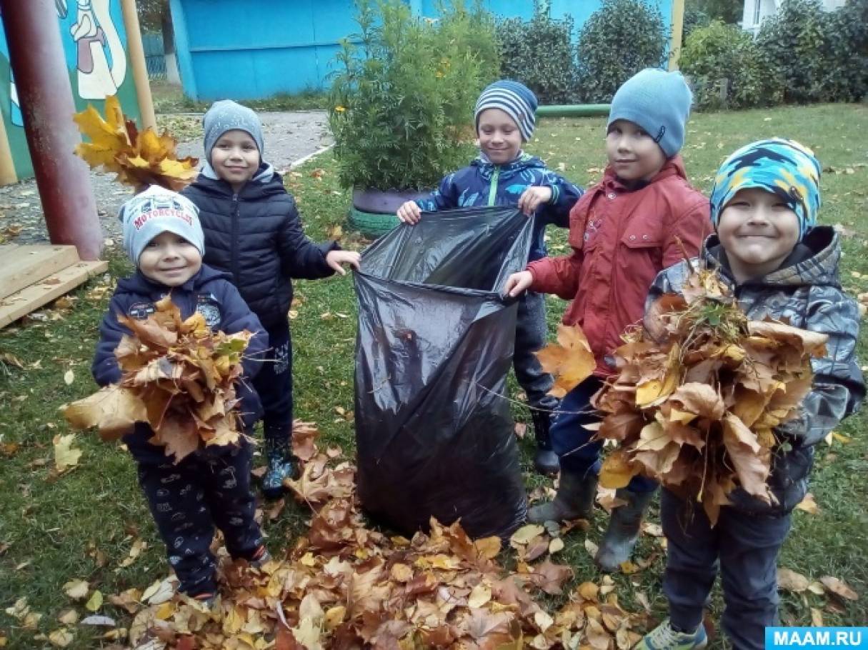 Фотоотчет «Труд в природе. Убираем на участке листву» (2 фото).  Воспитателям детских садов, школьным учителям и педагогам - Маам.ру