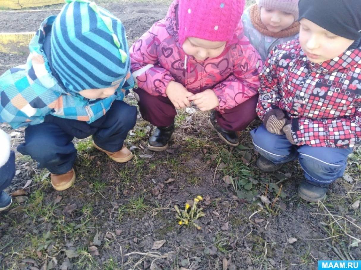 Отзывы родителей - Международный Детский Компьютерный Лагерь - МДКЦ