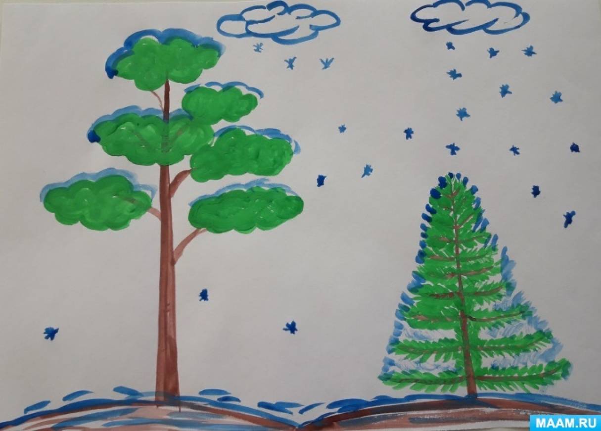 Картинки лиственных и хвойных деревьев для детей (50 картинок)