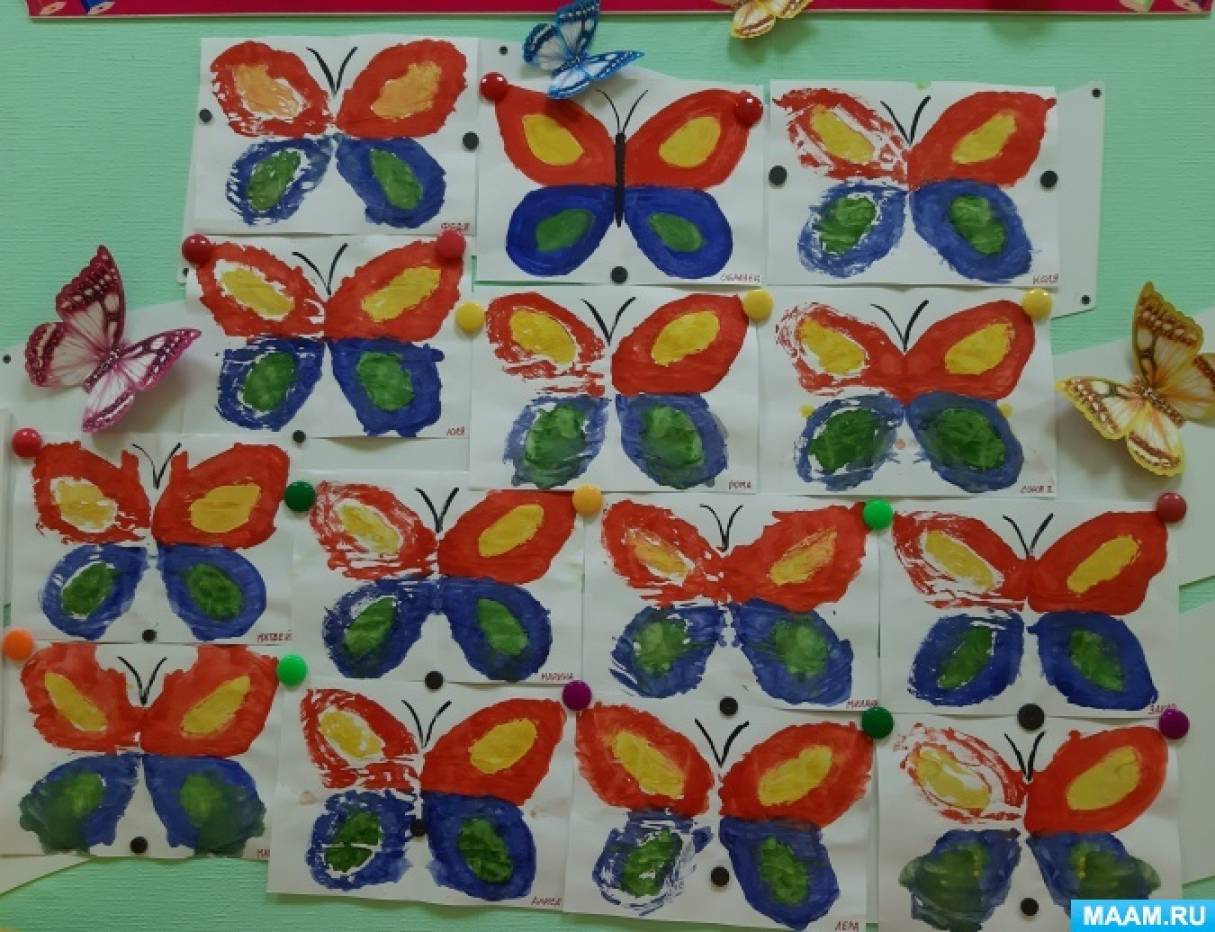 День бабочки в Биомузее – 4 июня | Наука и жизнь