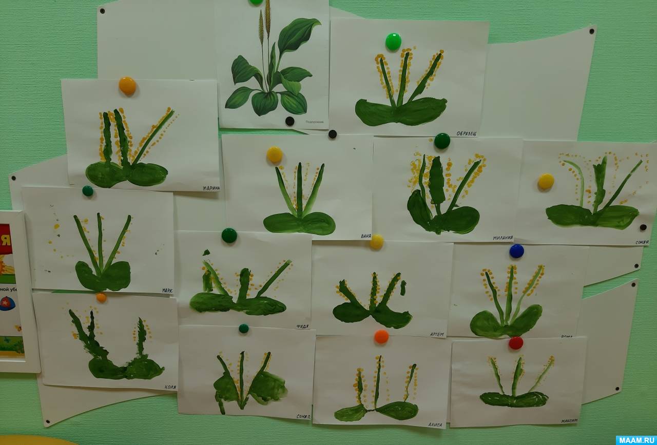 Картинки растений для детей