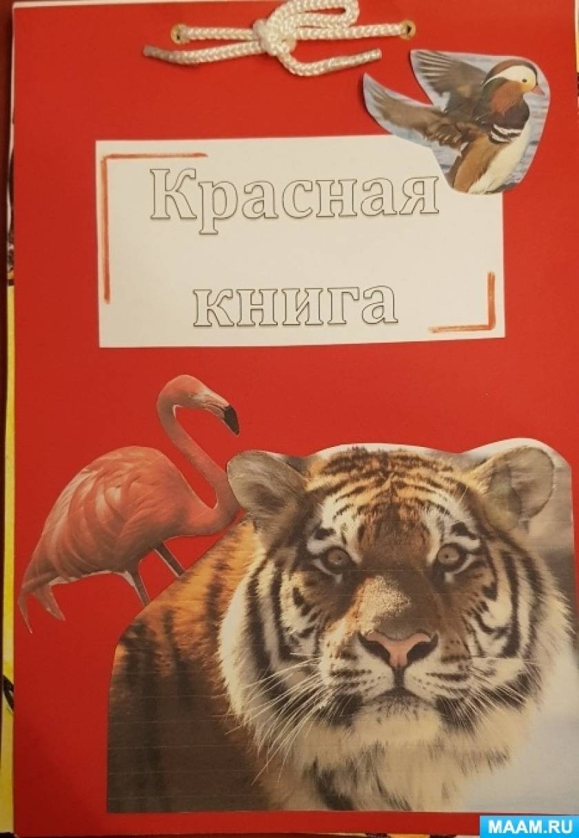 Как сделать лэпбук «Красная книга России» для дошкольников