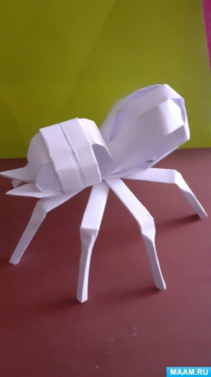 Поделки паук из картона: идеи по изготовлению своими руками (39 фото)