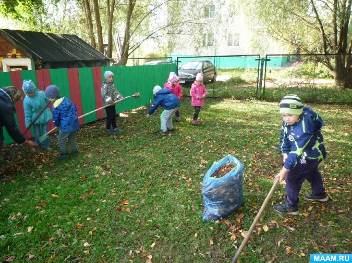 Трудовая деятельность детей