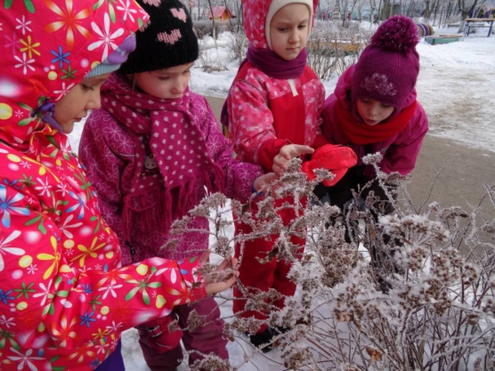 Наблюдение на прогулке зимой. Наблюдение зимой для детей детского сада. Наблюдение за природой зимой. Наблюдения с детьми на прогулке зимой. Наблюдение за зимними деревьями в детском саду.