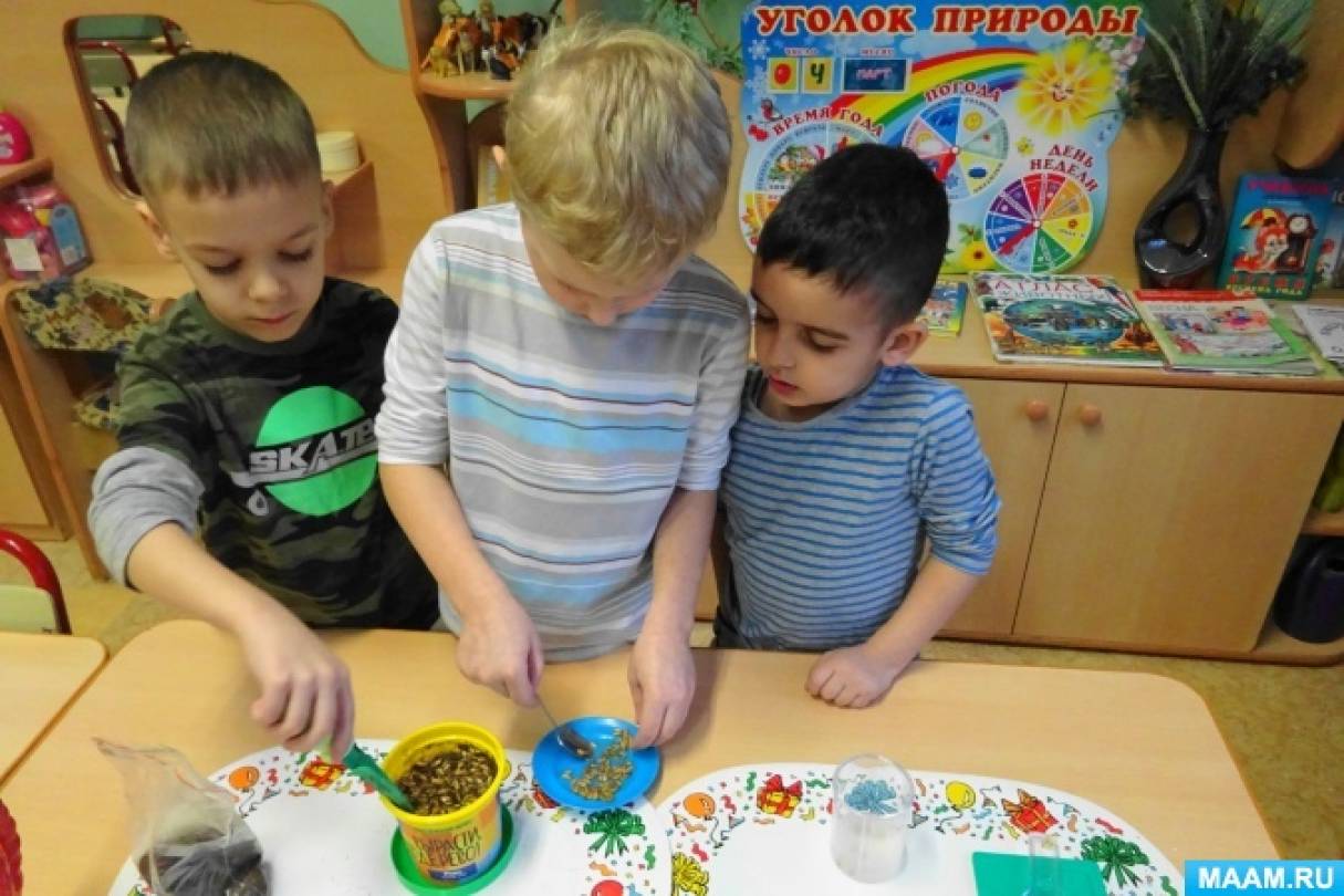 Проблемы ребёнка в детском саду и пути их решения ✅ Блог gkhyarovoe.ru
