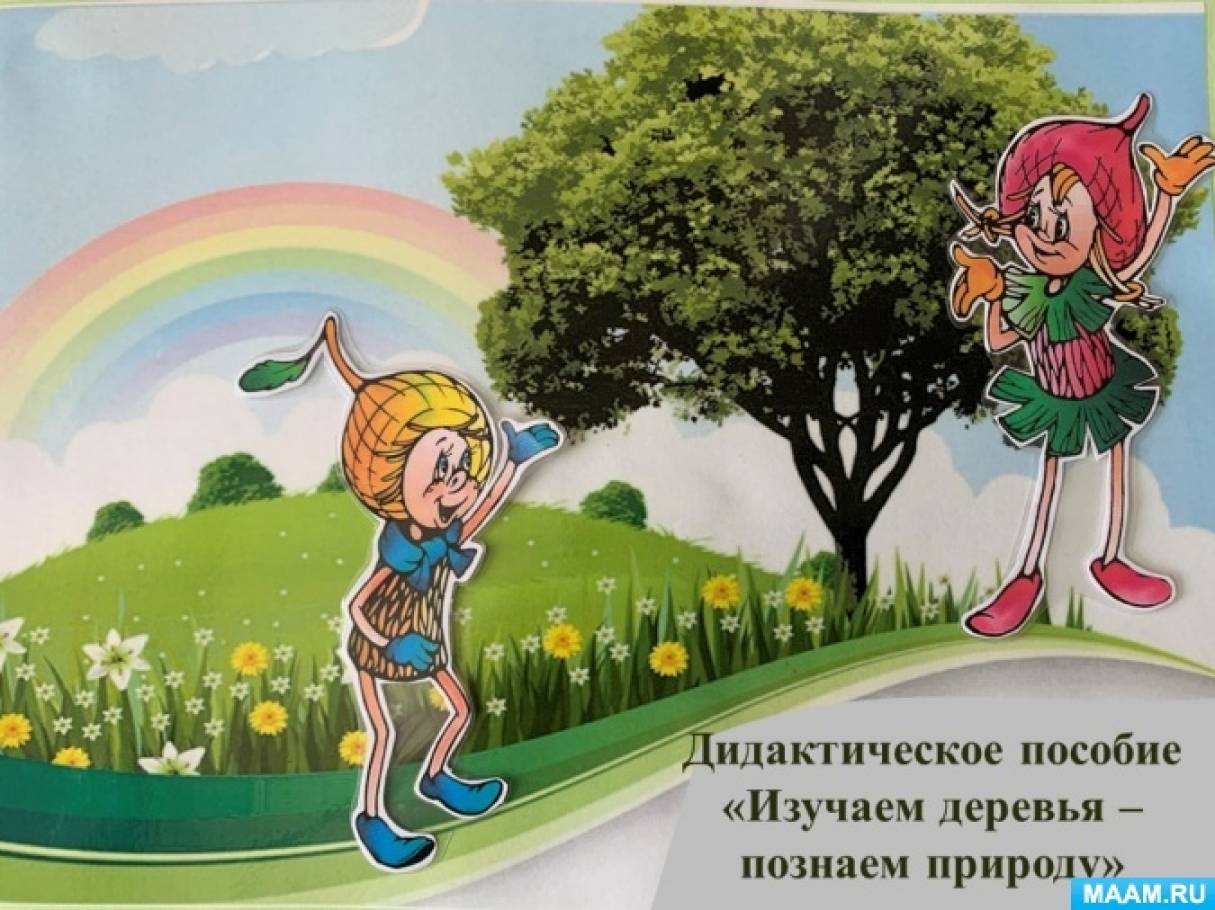 Дидактическое пособие «Изучаем деревья — познаем природу» (9 фото).  Воспитателям детских садов, школьным учителям и педагогам - Маам.ру