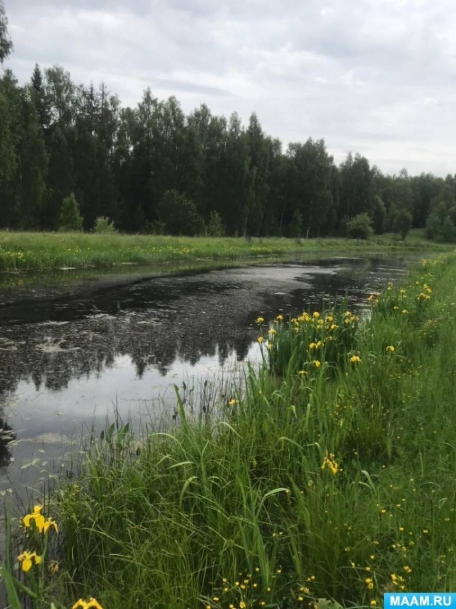 Природа в стихах Есенина. Ко Дню рождения С. Есенина на МAAM (1 фото).  Воспитателям детских садов, школьным учителям и педагогам - Маам.ру