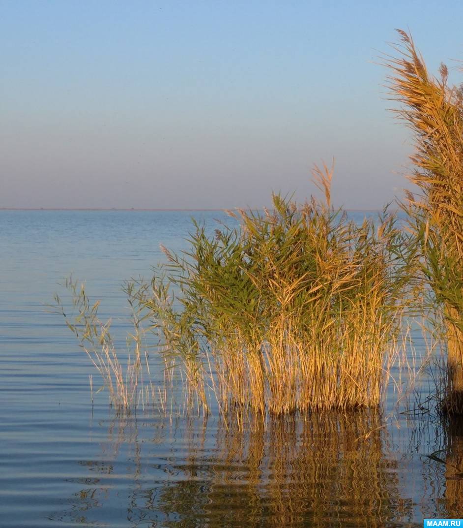 Курчанский Лиман Краснодарский край. Курчанский Лиман пляж. Темрюк лиманы. Курчанский Лиман фото.