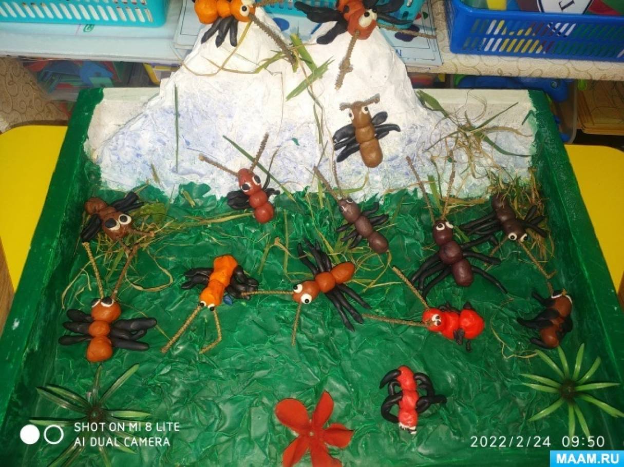 Проект в детском саду «Удивительный мир муравейника»