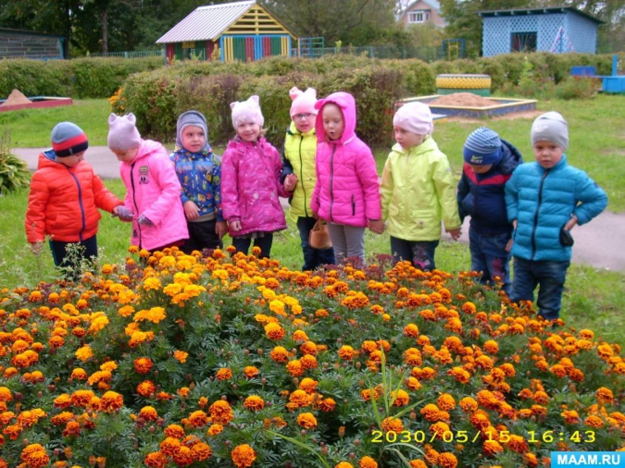 Ознакомление с природой в детском. Экскурсия в саду. Экологическая экскурсия в детском саду. Экскурсия по экологической тропе детского сада. Ознакомление детей с природой.