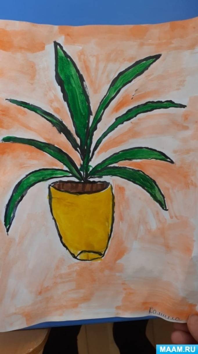 рисование комнатных растений с несложной формой строения можно обучать детей какой группы