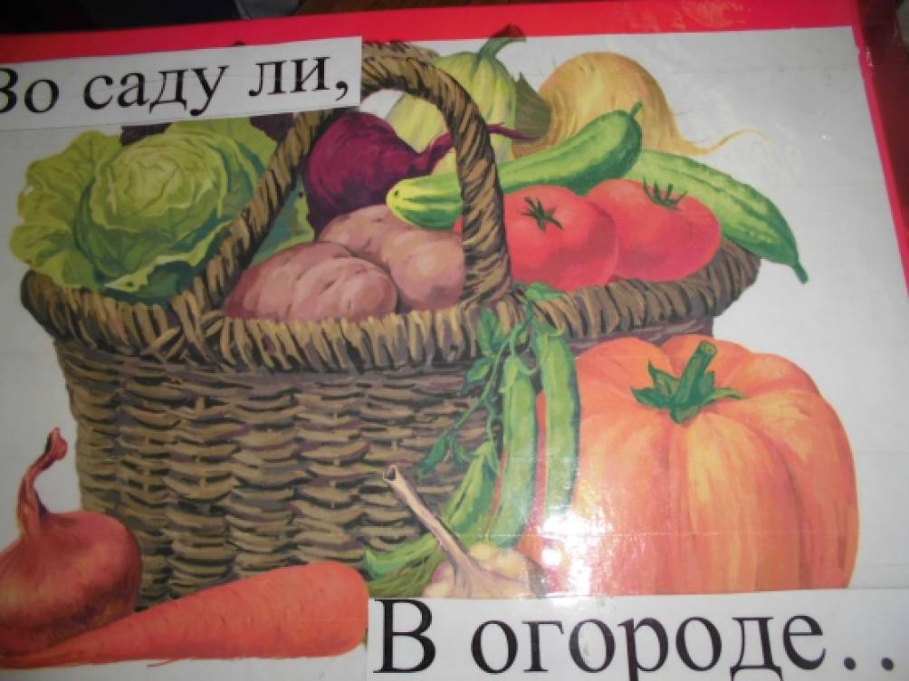 Во саду ли в огороде. Рисунки во садули в огороде. Рисунок васадули в огороде. Рисунок на тему во саду ли в огороде. Картинки Восадули в огороде.