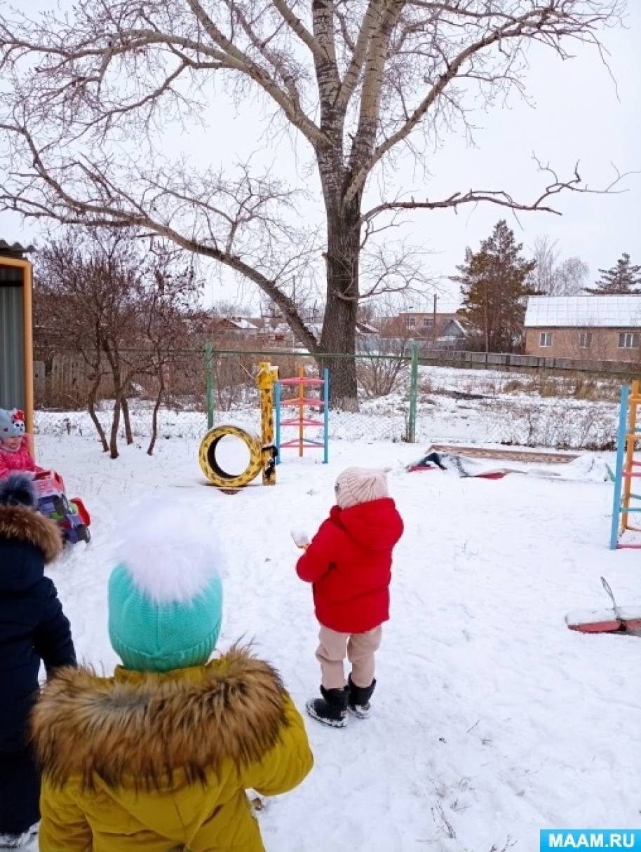 Конспект прогулки во второй младшей группе «Наблюдение за деревьями зимой»  (12 фото). Воспитателям детских садов, школьным учителям и педагогам -  Маам.ру