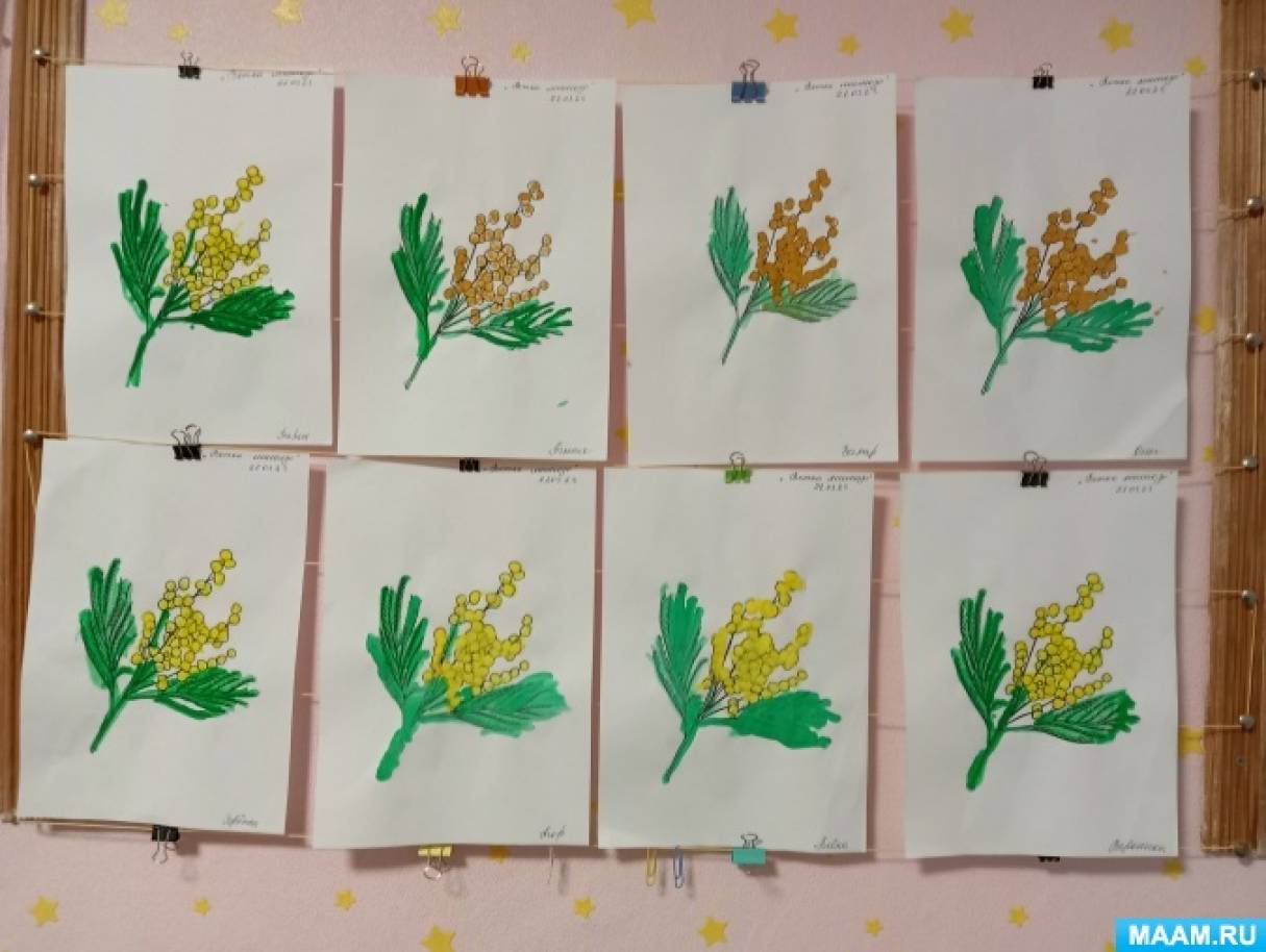 Рисунок мимоза. Как нарисовать цветок мимозы. Рисунки для малышей. РАСКРАСКИ РАЗВИВАШКИ