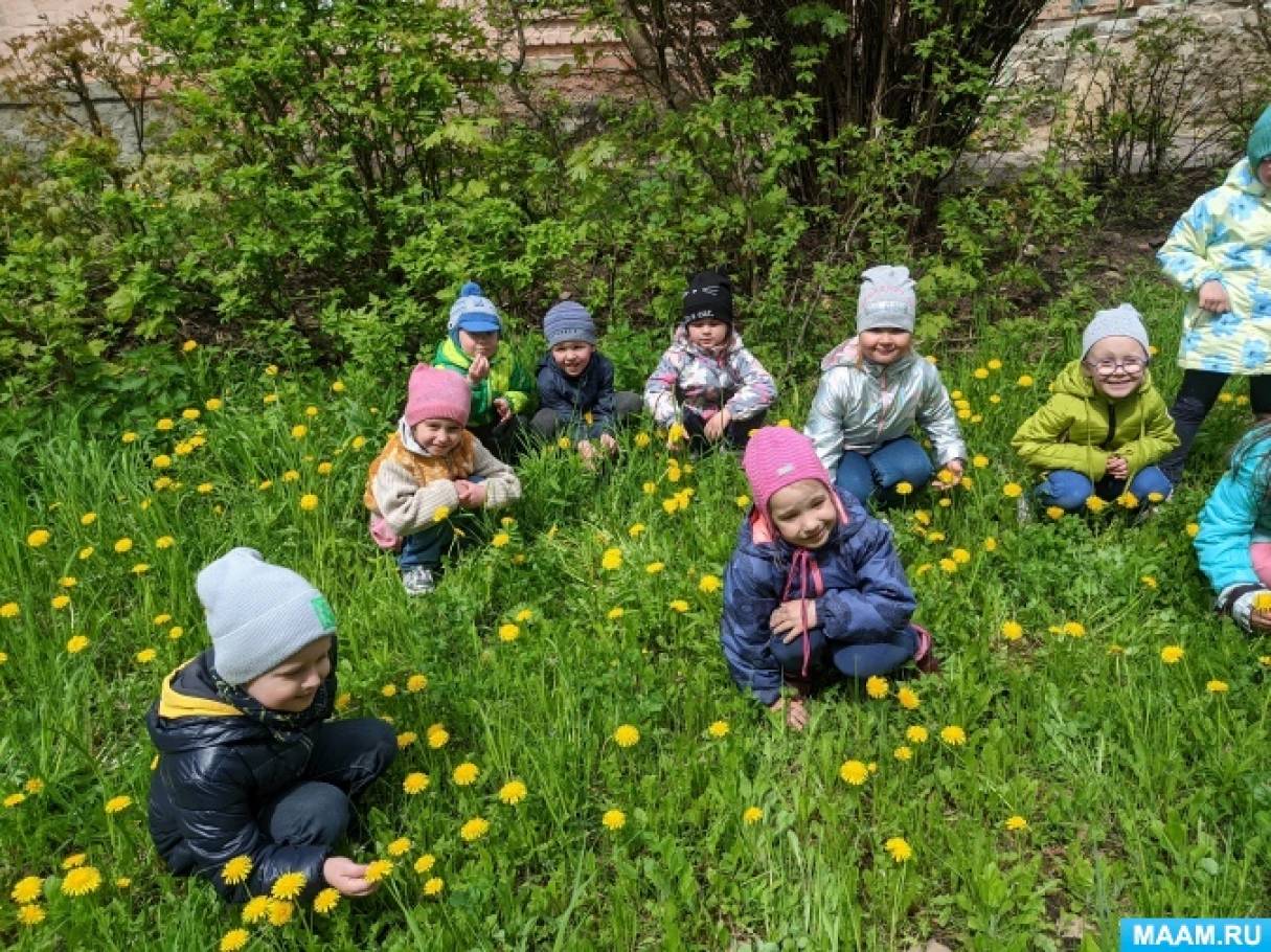 Прогулки. Май. Воспитателям детских садов, школьным учителям и педагогам -  Маам.ру