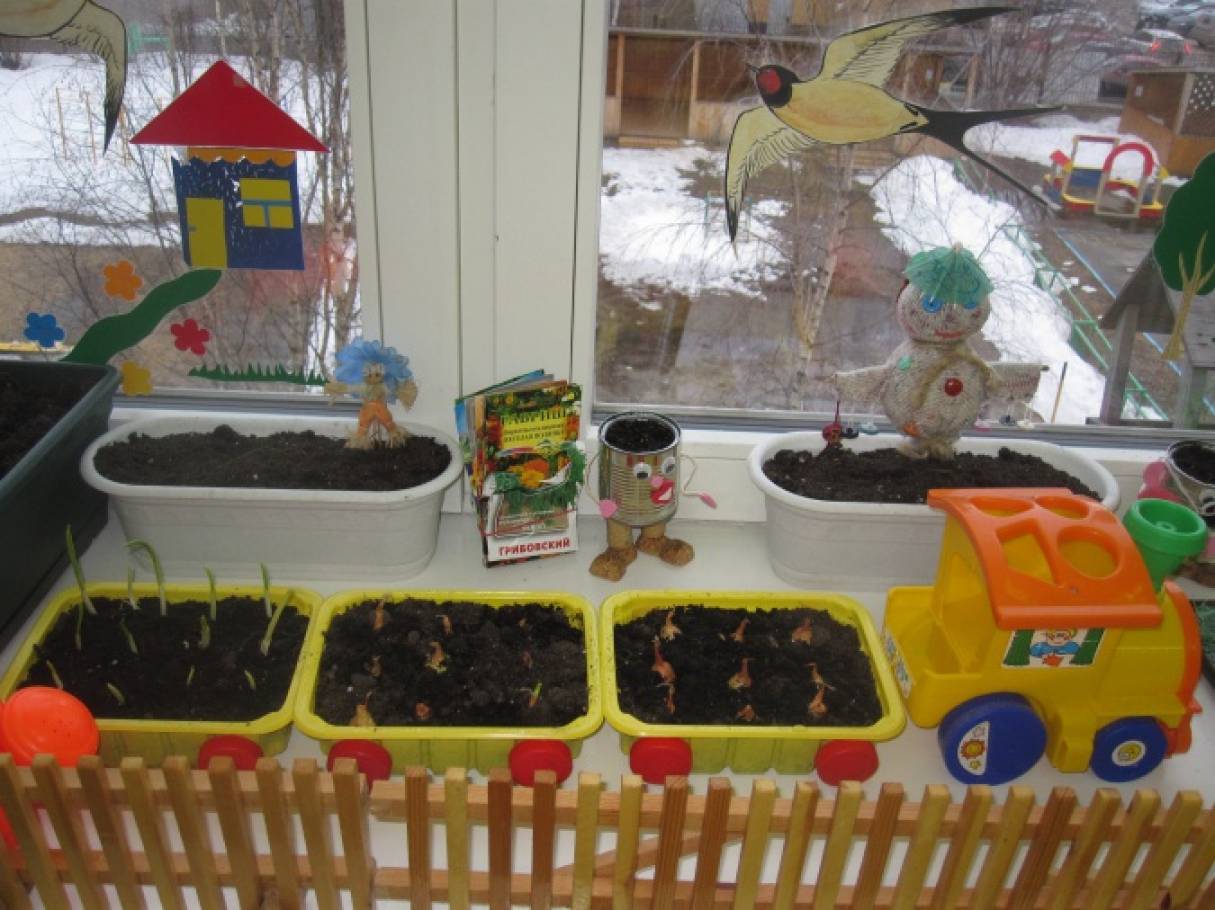 Огород в доу отчет. Огород на окне. Огород на подоконнике. Огород на окне в детском саду. Огород на подоконнике в детском саду.