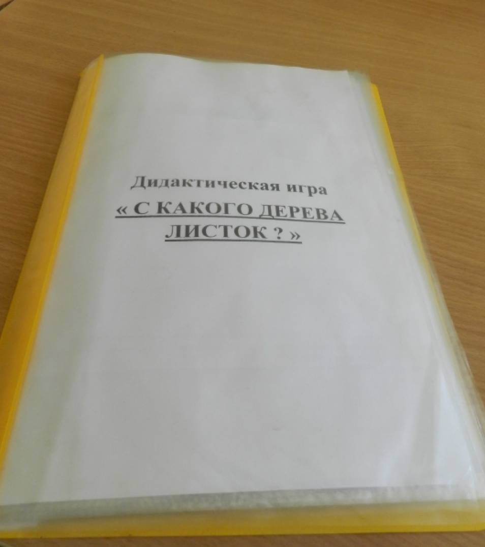 Деревья. Игры, дидактические пособия, страница 11. Воспитателям детских  садов, школьным учителям и педагогам - Маам.ру