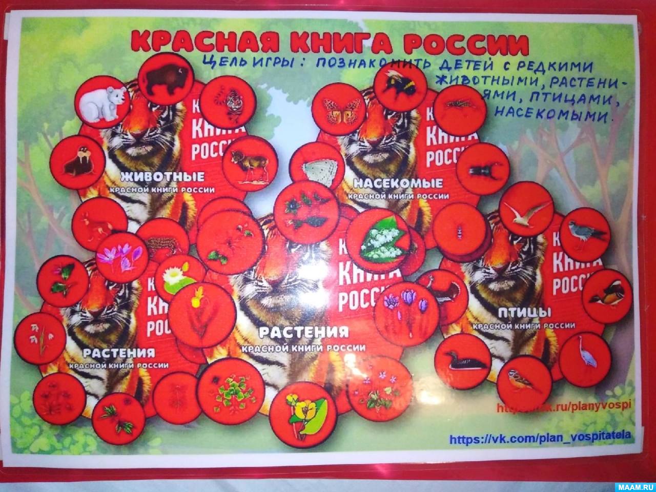 игра по красной книге россии (99) фото