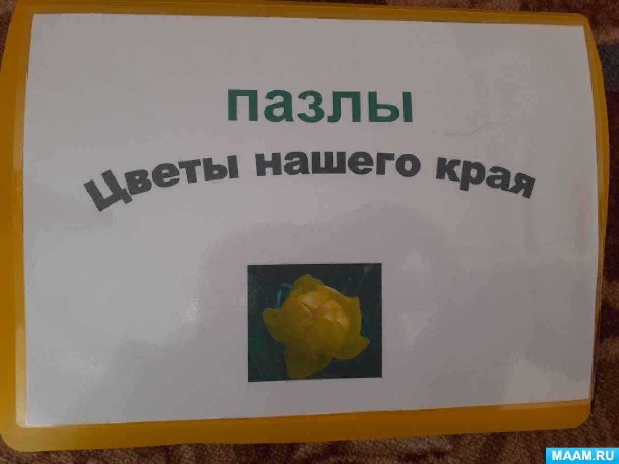 Родной край, город. Дидактические игры и пособия. Воспитателям детских  садов, школьным учителям и педагогам - Маам.ру