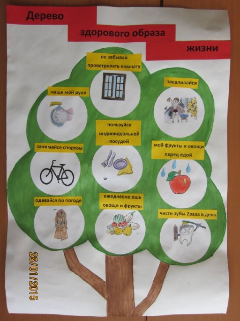Образ жизни группы. Плакат дерево здоровья. Дерево здоровья для дошкольников. Дерево здоровья в детском саду. Дерево здоровья занятие.