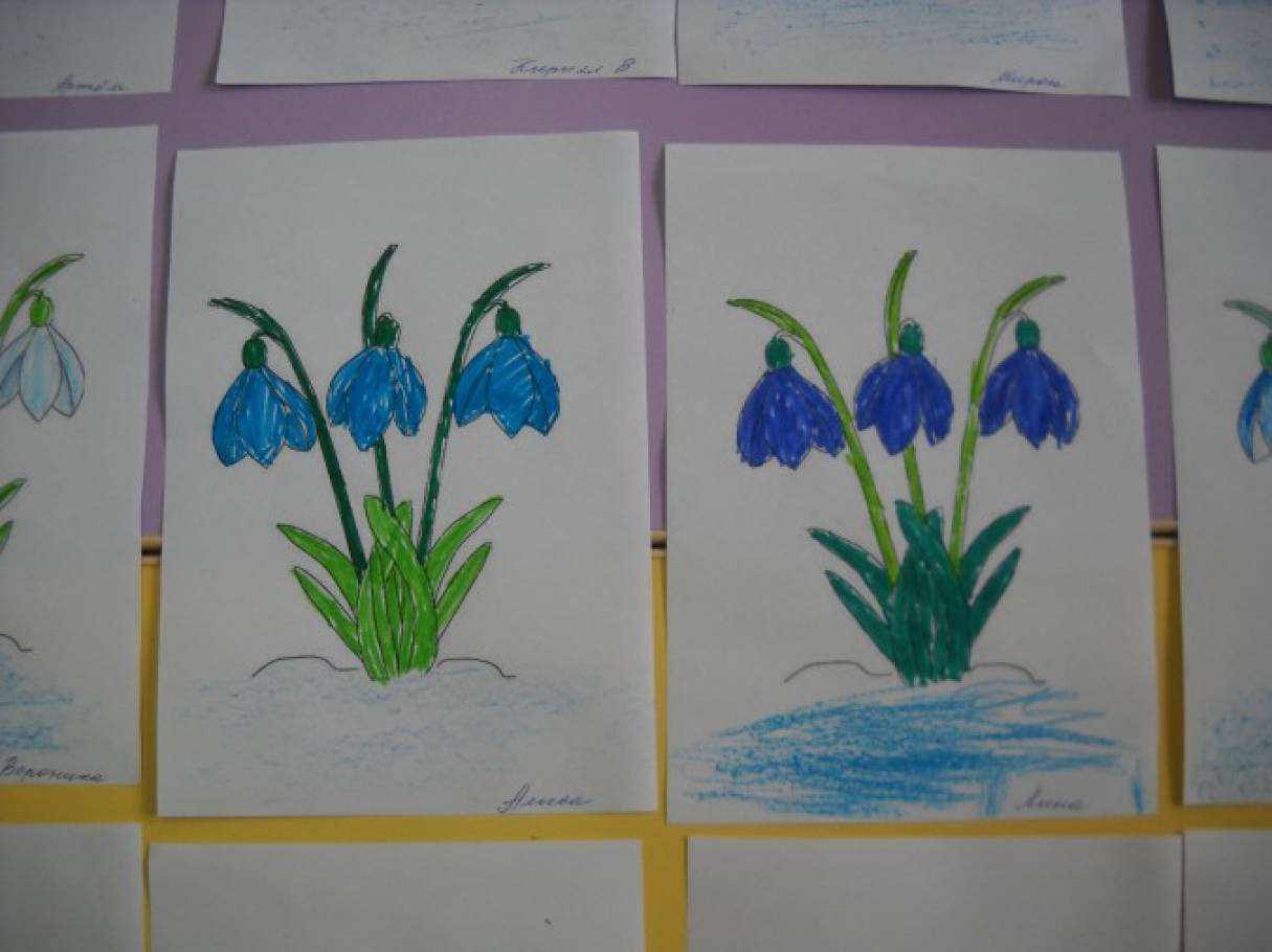 Рисование весенние цветы старшая группа. Рисование первоцветы в подготовительной группе. Рисование для детей подснежники средняя группа. Рисование подснежники в старшей группе. Рисование подснежники в подготовительной группе.