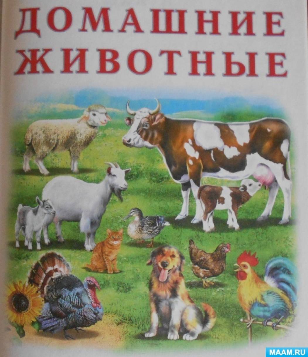 Домашние животные. Составление рассказов, описание - Лучшее. Воспитателям  детских садов, школьным учителям и педагогам - Маам.ру