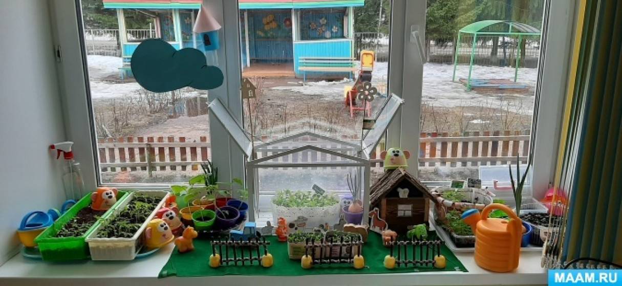 Проект в детском саду на тему огород на окне в детском саду