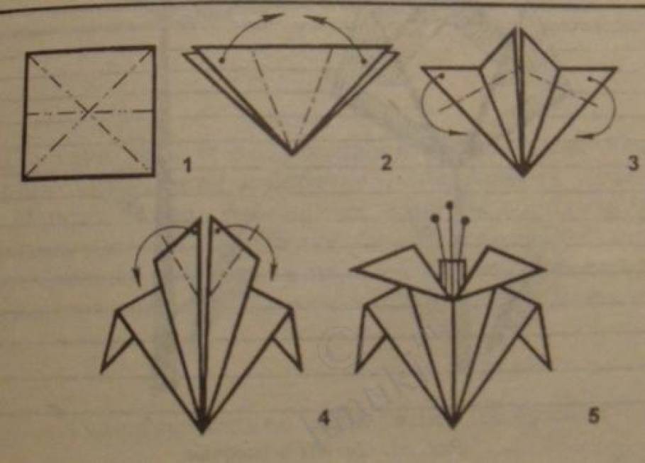 Оригами цветок гвоздика схема