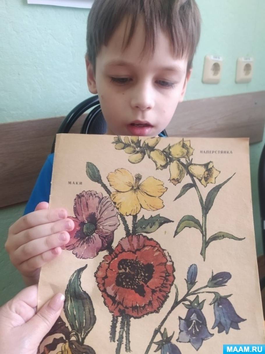Детский рисунок полевые цветы (54 фото)