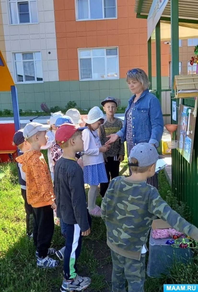 Фотоотчет с метеостанции в экологической тропе детского сада