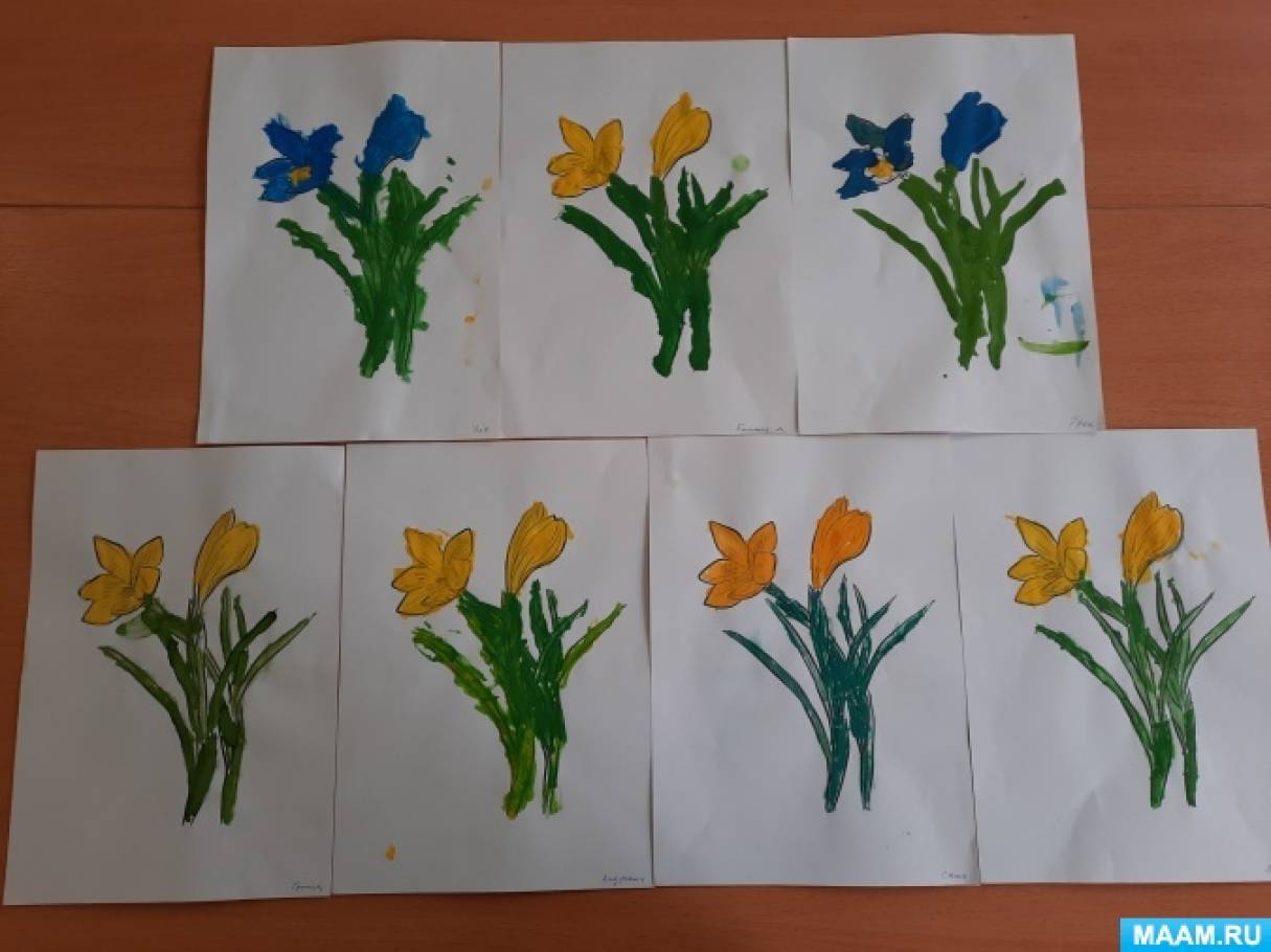 Рисование весенние цветы старшая группа. Первоцветы 2 младшая группа. Рисование цветы старшая группа. Рисование первоцветы в младшей группе. Рисование первоцветы в детском саду.