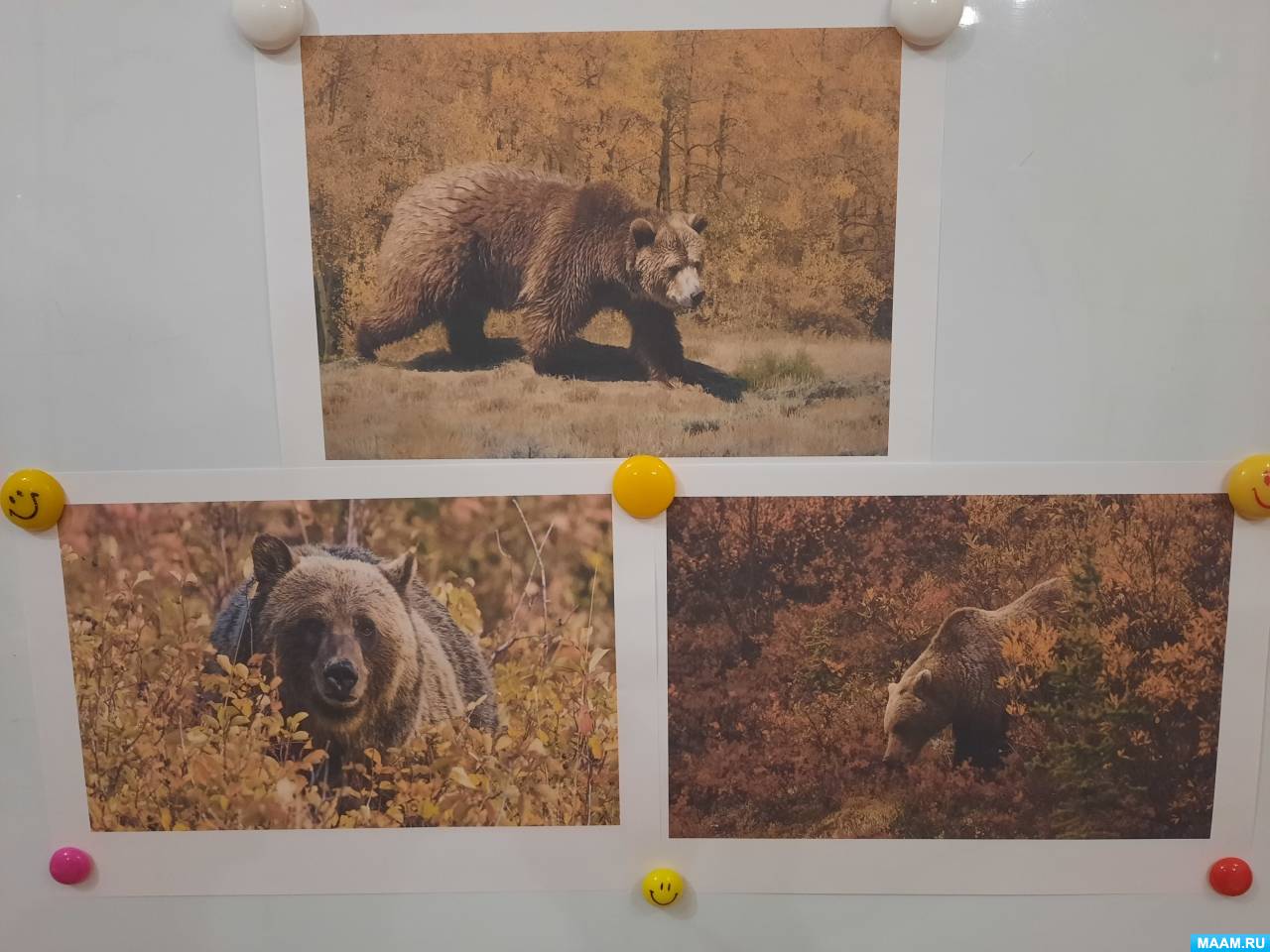 Раскраски Маша и Медведь для детей: интересные идеи
