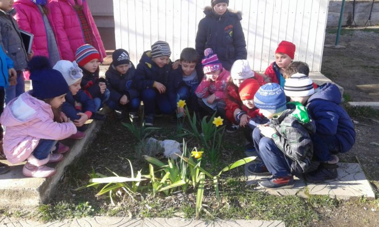 Весенняя прогулка в детском саду. Наблюдение в детском саду. Наблюдение на прогулке. Дети на прогулки подготовительная группа.