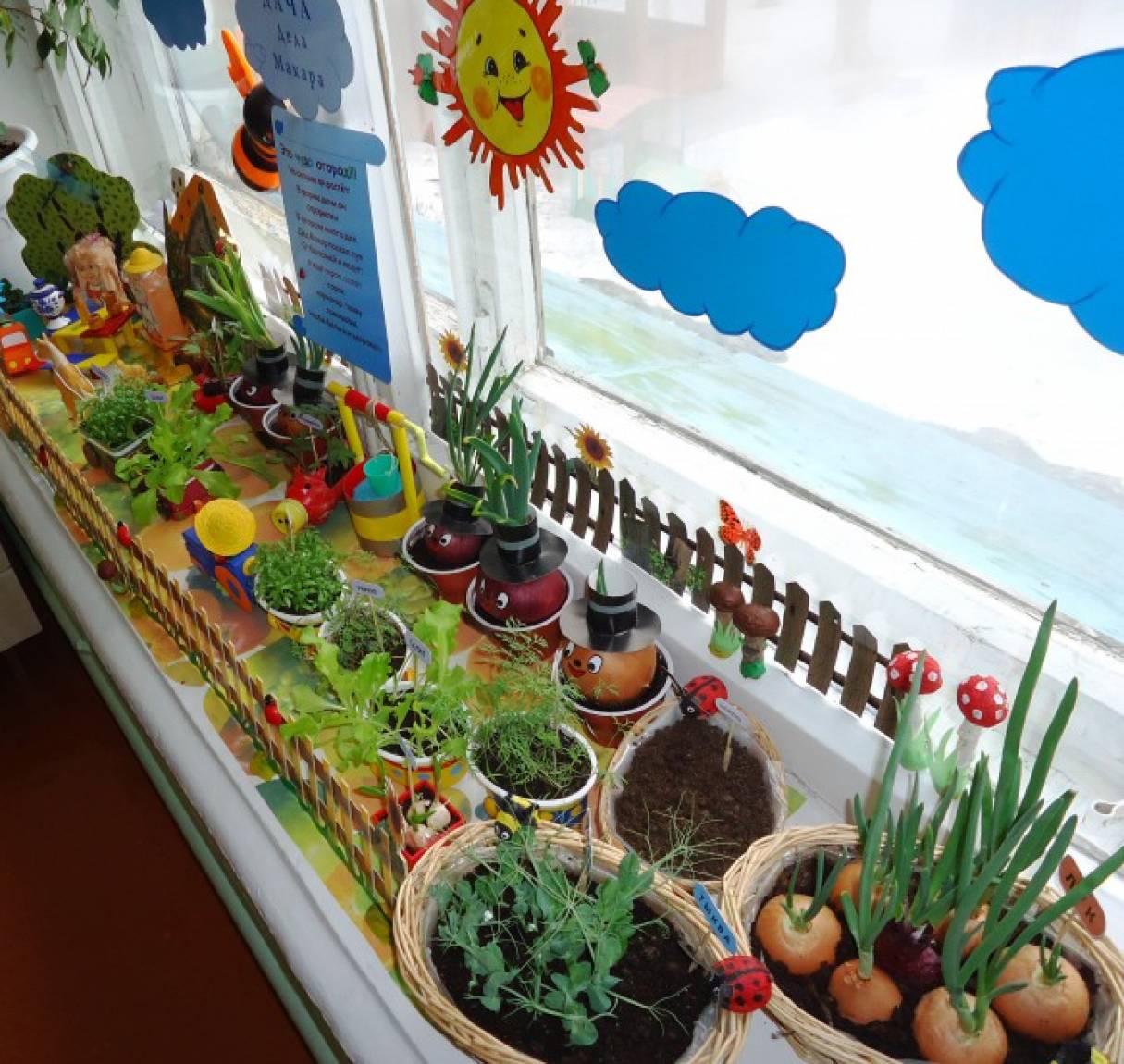 Фото огород на окне в детском саду