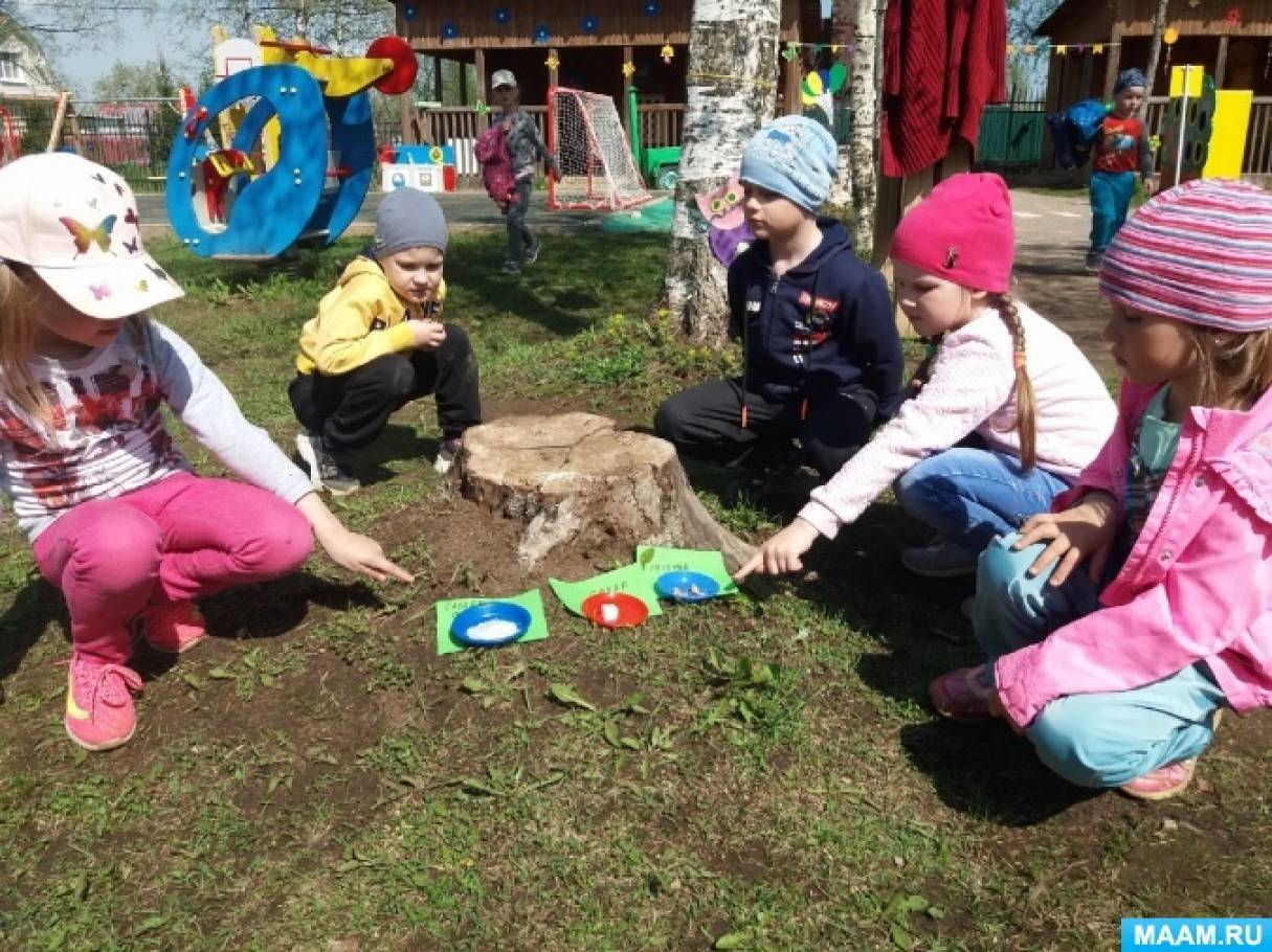 Конспект НОД в разновозрастной группе «Чудесная кладовая — Земля» (6 фото).  Воспитателям детских садов, школьным учителям и педагогам - Маам.ру