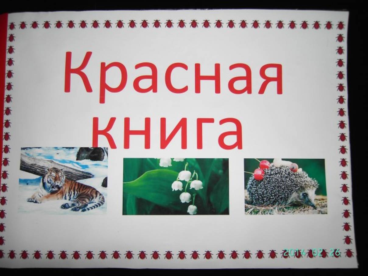 Лэпбук Красная книга России для дошкольников: как сделать своими руками